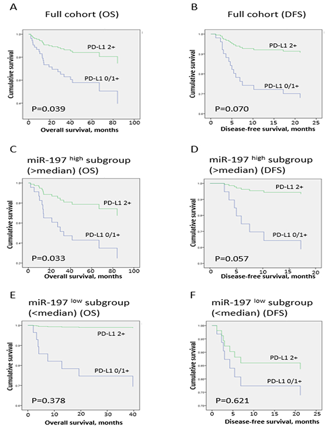 Survival analysis in full cohort and miR-197high and miR-197low subgroups.