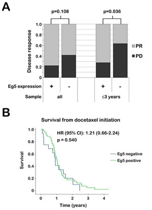 Nuclear Eg5 expression and docetaxel response in mCRPC patients.