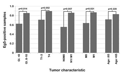 Correlation between PCa characteristics and nuclear Eg5 expression in PCa patients.