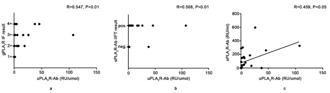 Relationship between the urine anti-PLA