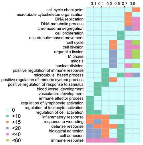 Functional enrichment of SCNA lncRNAs.