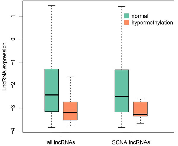 The expression comparison between hypermethylated lncRNAs and others.