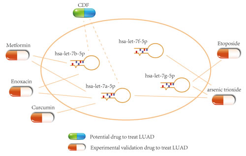 Potential small molecule drugs for LUAD treatment.