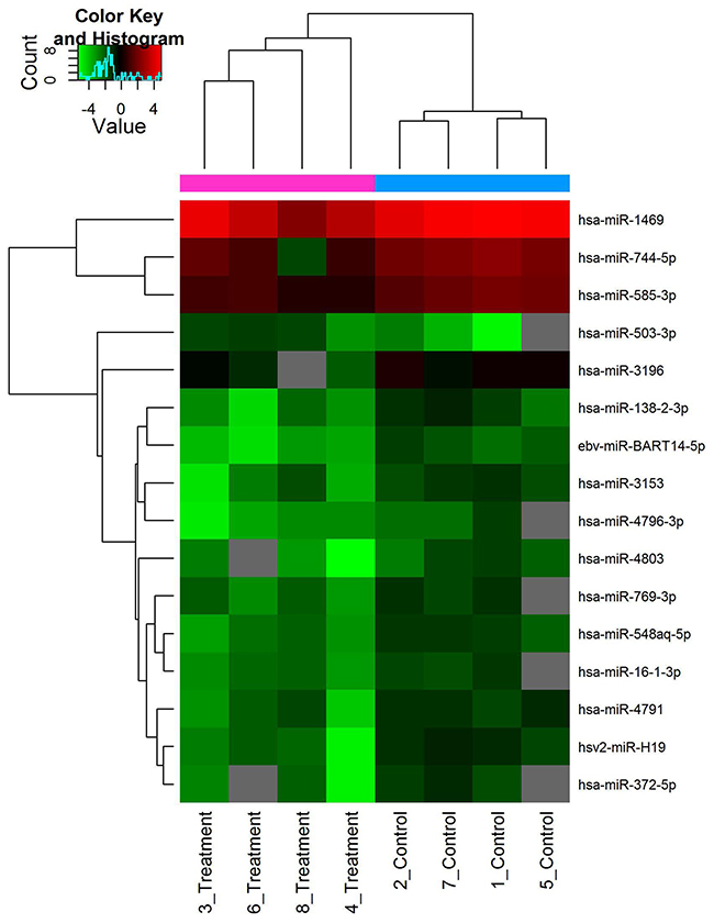 Hierarchical clustering of differentially expressed miRNAs.