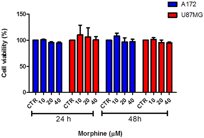 Effect of morphine on human GBM cells growth.