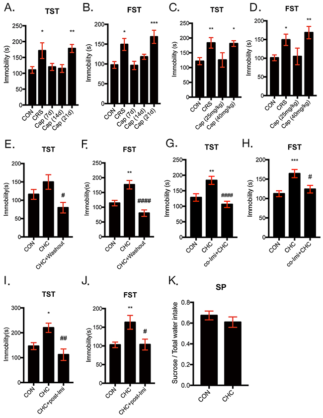 Chronic high-dose captopril (CHC) induced depressive-like behavior in mice.
