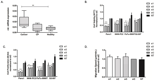 Upregulation of USP5 and its role in in pancreatic cancer.