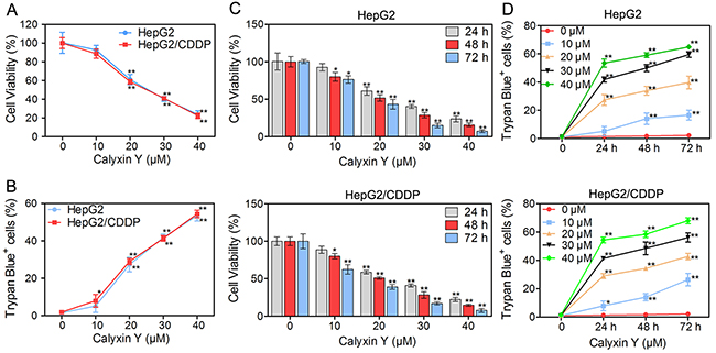 Calyxin Y exhibits cytotoxicity in human HCC cells.