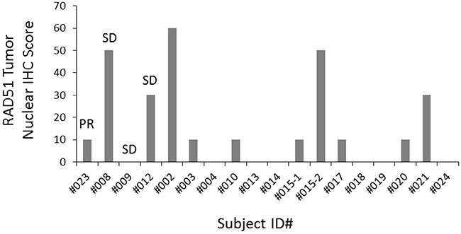 Baseline RAD51 tumor nuclear score.