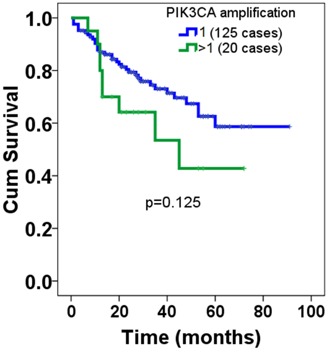 Overall prognosis of PIK3CA amplification in patients with DLBCL.