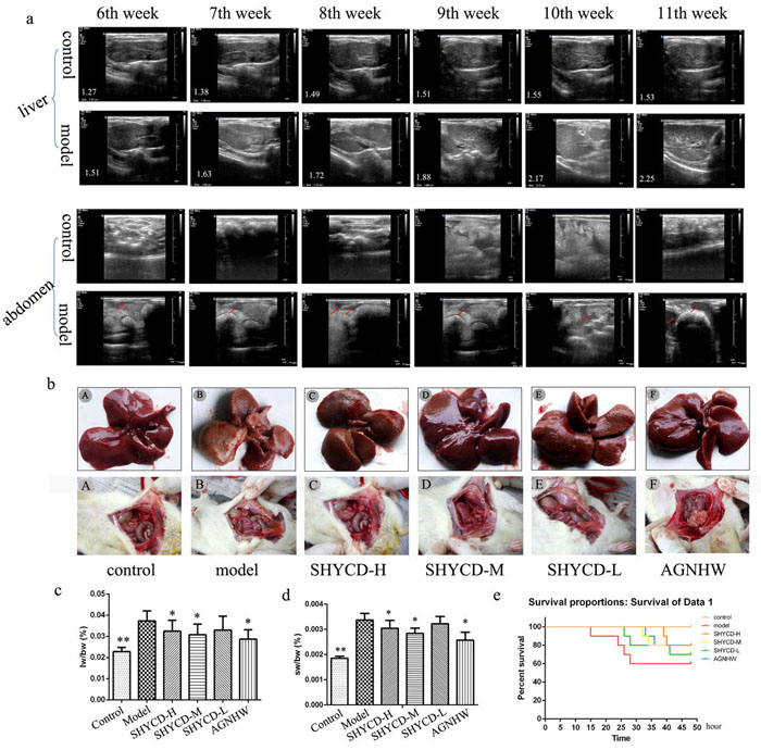 Modeling effects in rats and SHYCD effects on rat survival state.