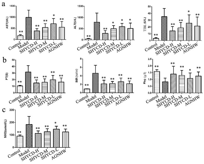 The influence of SHYCD on rat liver function, blood coagulation, and blood ammonia levels.