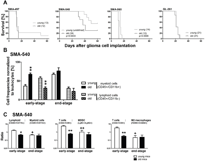 Survival in syngeneic experimental mouse glioma models: modulation by host age.