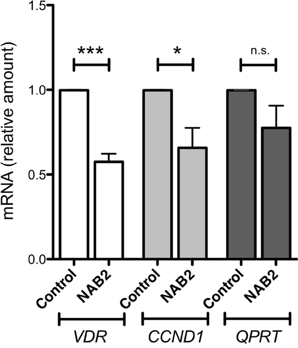 Effects of NAB2 overexpression in K562 cells on expression of the WT1-target genes VDR, CCND1 and QPRT.