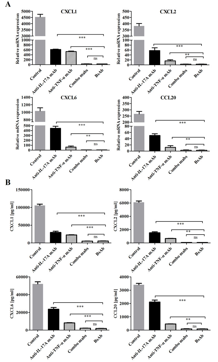 Inhibition of bsAb on the production of neutrophil and Th17 chemokines on FLS.