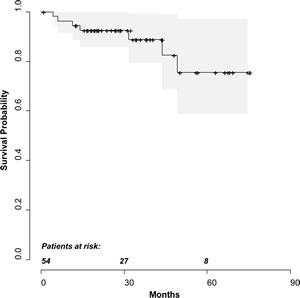 Kaplan-Meier curve depicting estimated overall survival probabilities.