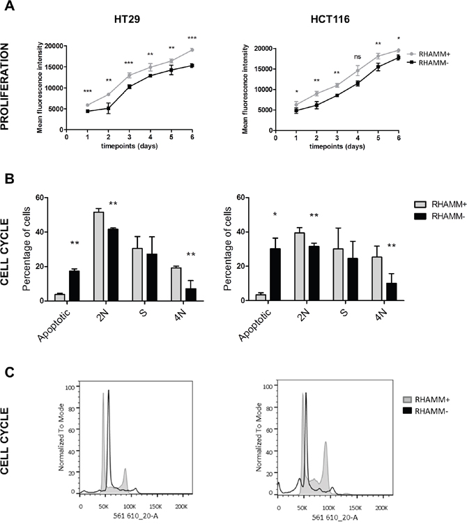 RHAMM silencing reduces the rate of proliferation of tumor cells.