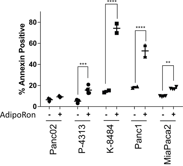 Adiponectin receptor agonist AdipoRon promotes pancreatic cancer cell apoptosis.