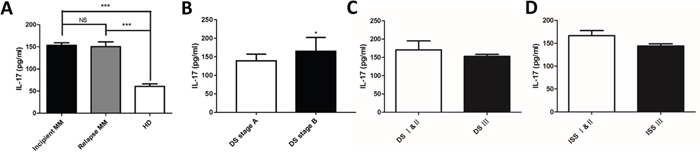 Elevated levels of serum IL - 17 in MM patients.