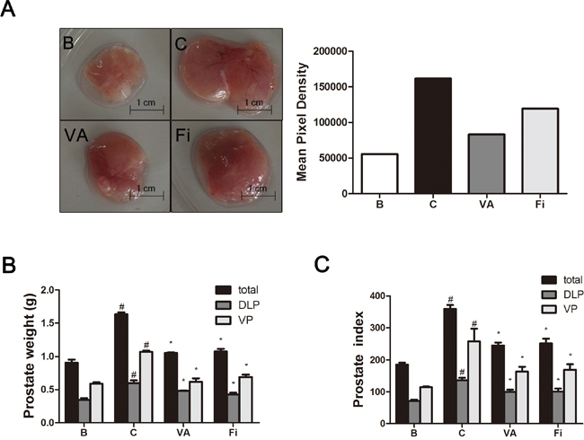 Effect of VA on prostate weight and prostate index in TP-induced BPH rats.