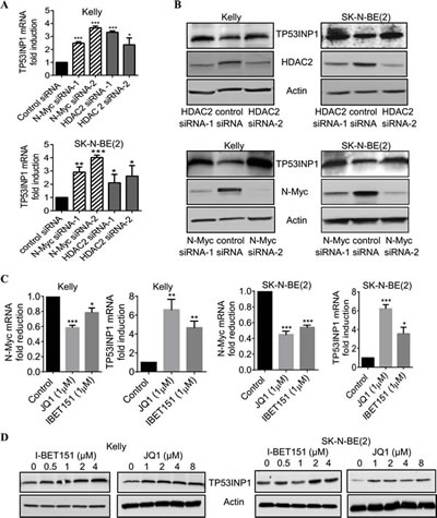 HDAC2 and N-Myc commonly repress, and BET bromodomain inhibitors up-regulate, TP53INP1 expression.