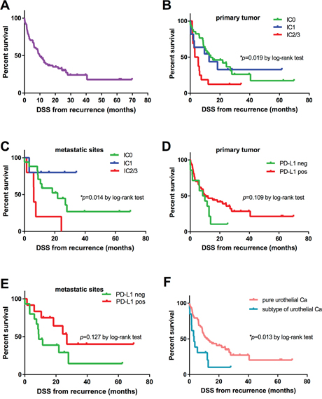 Kaplan-Meier survival curves for disease-specific survival (DSS) in months.