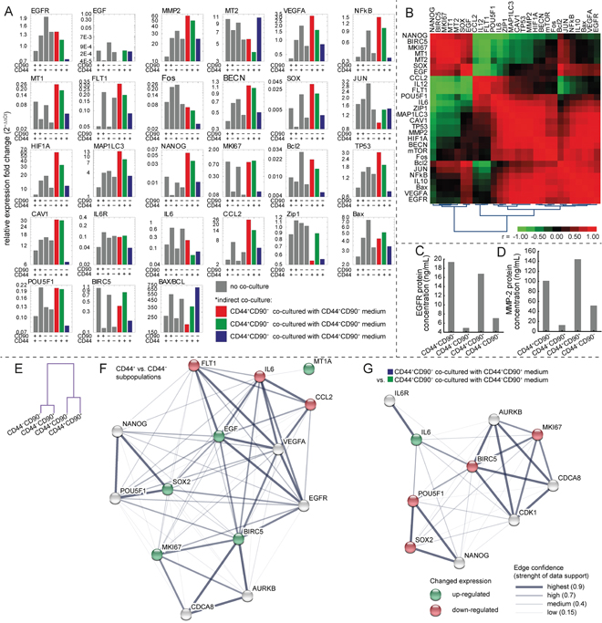 Gene expression in subpopulations and in co-culture experiment.