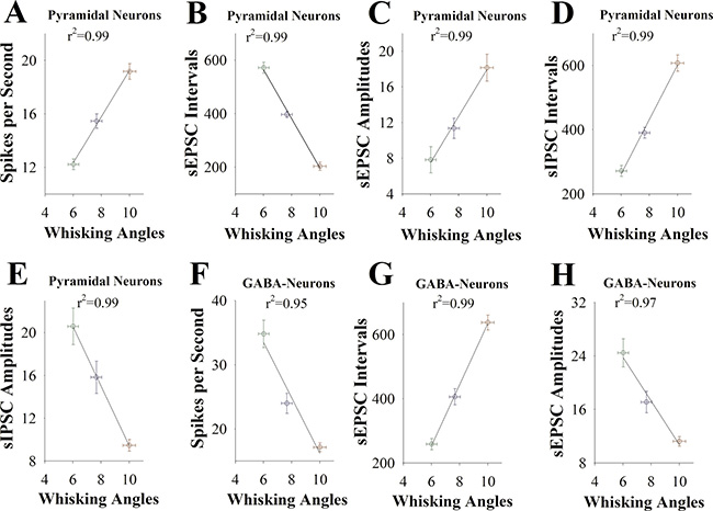 The activity strengths of barrel cortical glutamatergic and GABAergic neurons are linearly correlated with the efficiency of odorant-induced whisker motion in F1 mice.