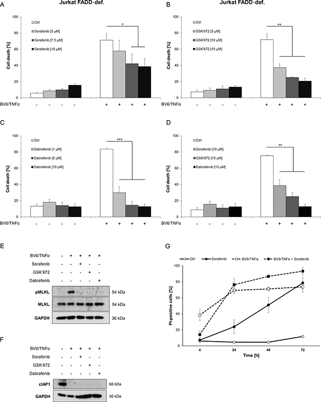 Sorafenib protects ALL cells from BV6/TNF&#x03B1;-induced necroptosis.