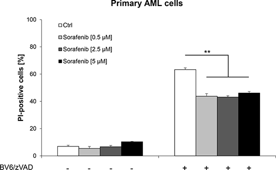 Sorafenib rescues primary AML cells from BV6-induced necroptosis.