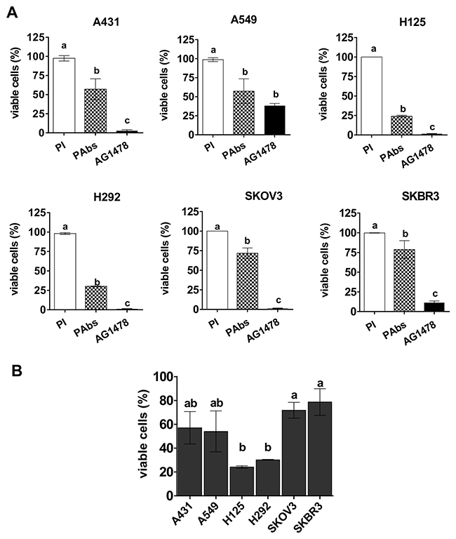 Reduction of cell viability in a panel of tumor lines.