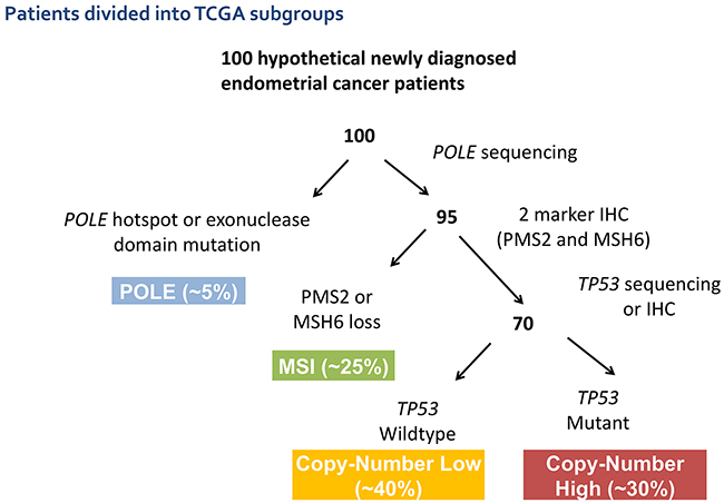 Suggested potential schema for molecular classification of endometrial cancer using sequencing and IHC results to segregate patients into the molecular subtypes previously defined by the TCGA.