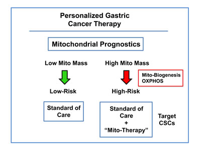 Gastric cancer: Mitochondrial-based diagnostics for personalized therapy.