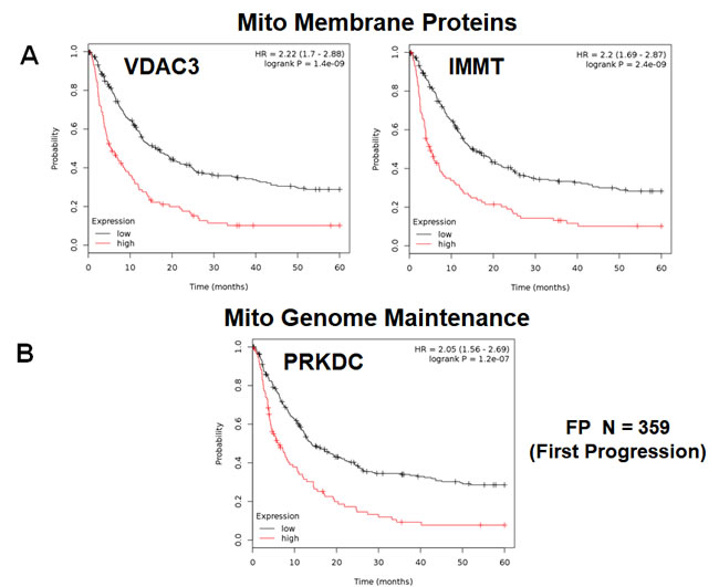 Mitochondrial membrane proteins and PRKDC are associated with poor clinical outcome in gastric cancer patients.