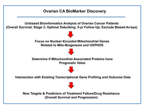 Summary illustrating our systematic approach to ovarian cancer biomarker discovery.