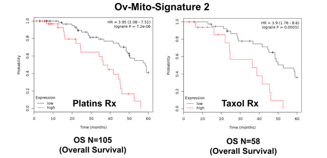 Ov-Mito-Signature 2 predicts the response to therapy in ovarian cancer patients.