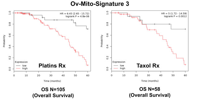 Ov-Mito-Signature 3 predicts the response to therapy in ovarian cancer patients.