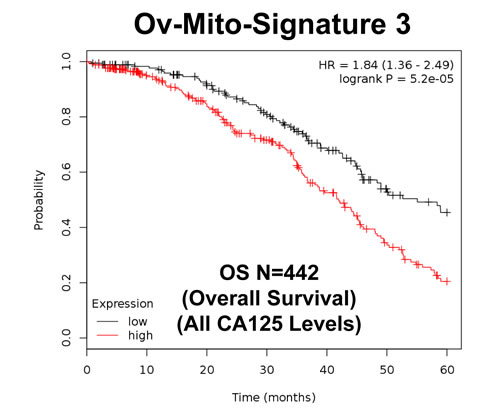 Ov-Mito-Signature 3 predicts patient outcome in ovarian cancer patients.