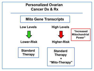 Ovarian cancer: mitochondrial-based companion diagnostics for personalized cancer therapy.