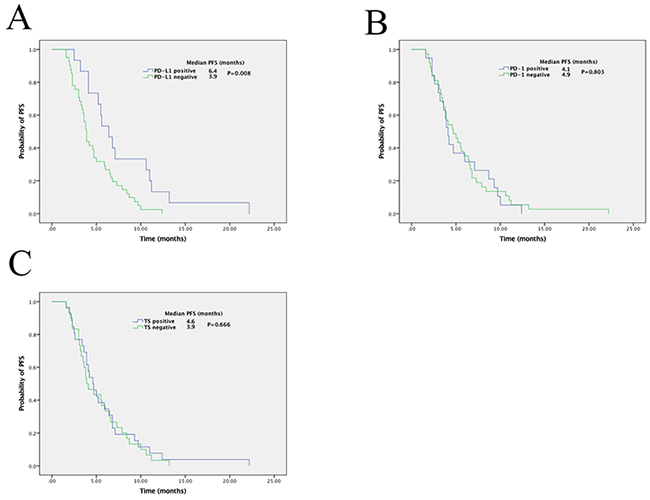Kaplan-Meier curves of progression-free survival (PFS) in patients with pemetrexed-treated lung adenocarcinoma.