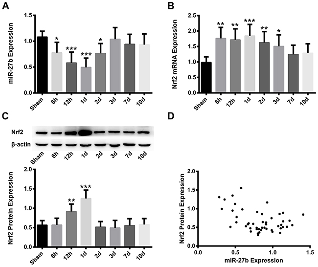 Time patterns and negative correlation of miR-27b and Nrf2 expression in ICH rats.