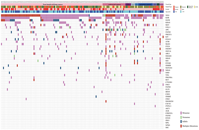 Distribution of 766 passed filtering variants.