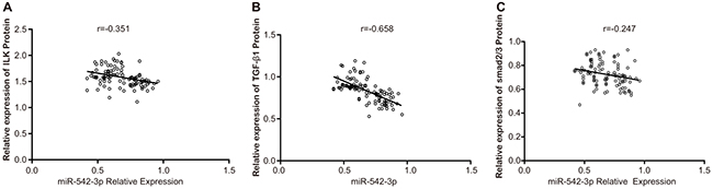 Association between miR-542-3p and ILK, TGF-&#x03B2;1 and Smad 2/3 expression in OSCC tissues.