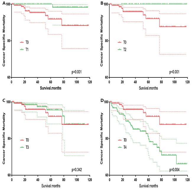Kaplan Meier curves of cancer-specific mortality for matched T-stage pairs.