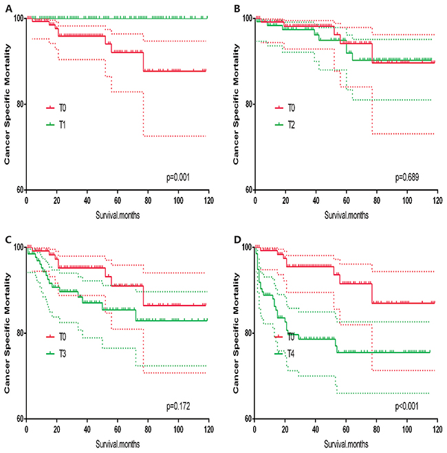 Kaplan Meier curves of cancer-specific mortality for matched T-stage pairs.