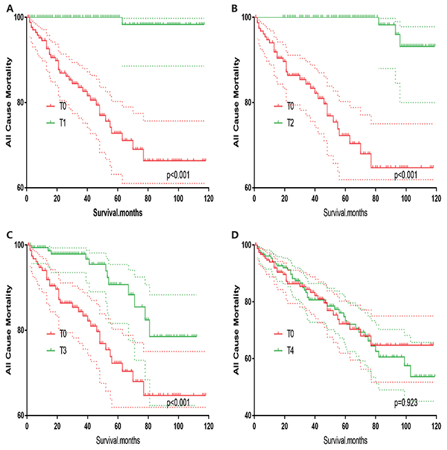 Kaplan Meier curves of all cause mortality for matched T-stage pairs.