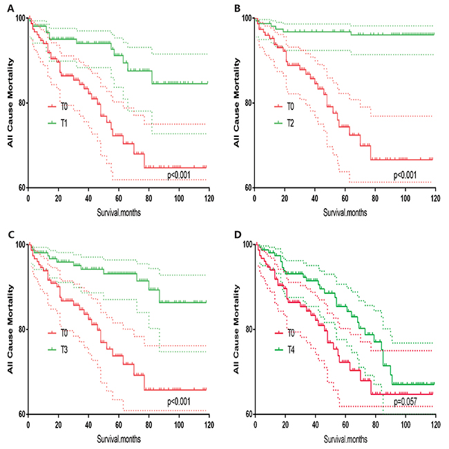 Kaplan Meier curves of all cause mortality for matched T-stage pairs.