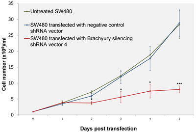 Growth curves of SW480 cells transfected with negative control shRNA vector or