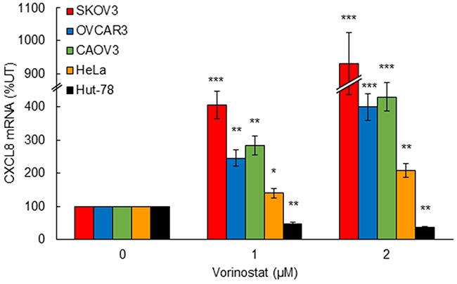 HDAC inhibition by vorinostat induces CXCL8 expression in OC and HeLa cells, but not in CTCL Hut-78 cells.