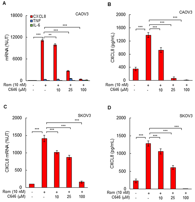 Romidepsin-induced CXCL8 expression in OC cells is dependent on HAT activity.